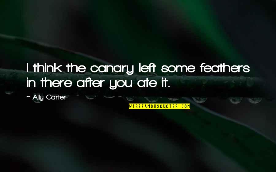Meltem Miraloglu Quotes By Ally Carter: I think the canary left some feathers in