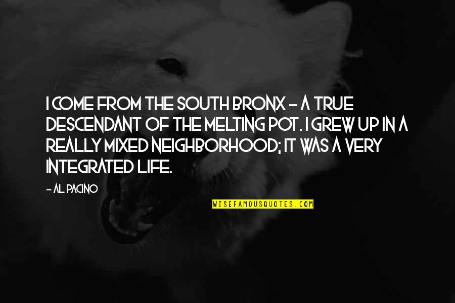 Melting Pot Quotes By Al Pacino: I come from the South Bronx - a