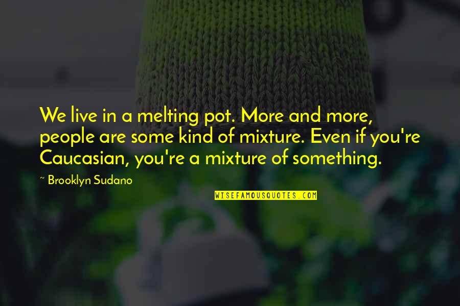Melting Pot Quotes By Brooklyn Sudano: We live in a melting pot. More and