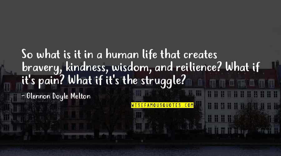 Melton Quotes By Glennon Doyle Melton: So what is it in a human life