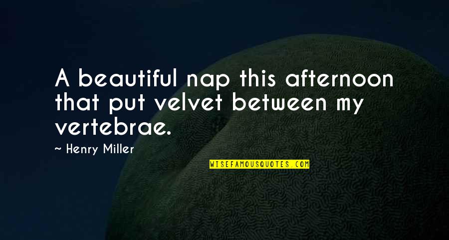 Melvillean Quotes By Henry Miller: A beautiful nap this afternoon that put velvet