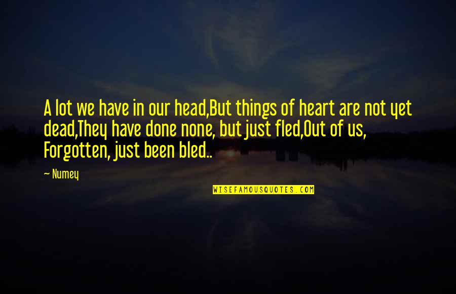 Memaksakan Quotes By Numey: A lot we have in our head,But things