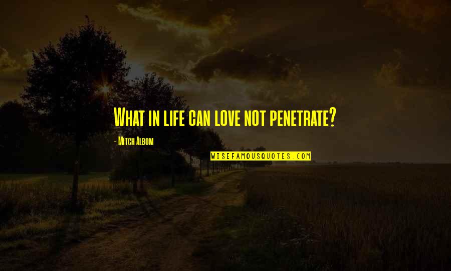 Memantau Maksud Quotes By Mitch Albom: What in life can love not penetrate?