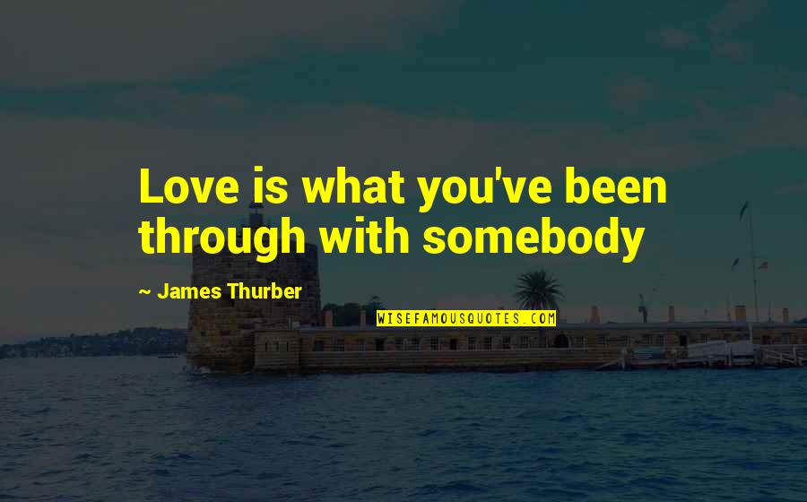 Membulatkan Pecahan Quotes By James Thurber: Love is what you've been through with somebody Membulatkan Pecahan Quotes By James Thurber: Love is what you've been through with somebody