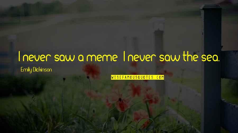 Meme Meme Quotes By Emily Dickinson: I never saw a meme; I never saw