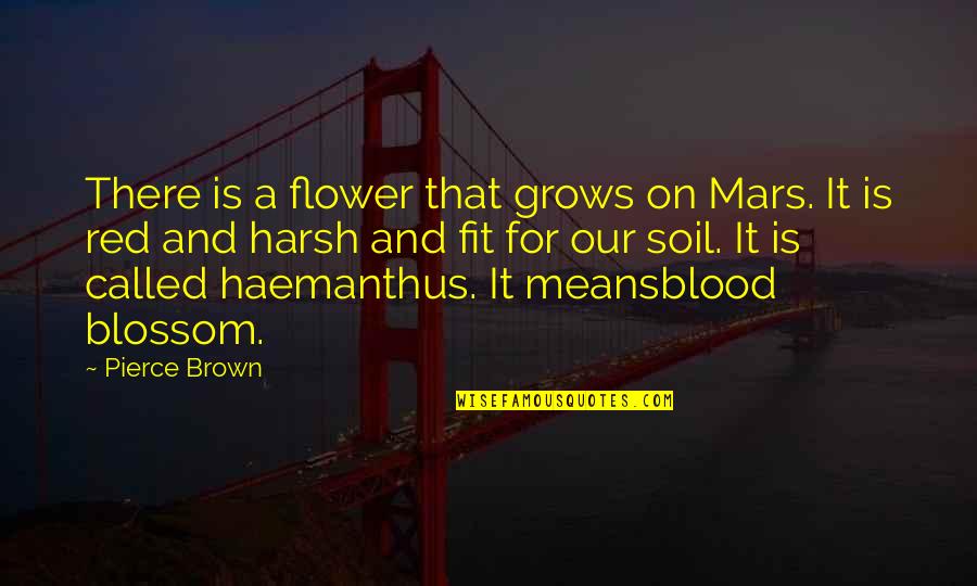 Memegang Cakram Quotes By Pierce Brown: There is a flower that grows on Mars.
