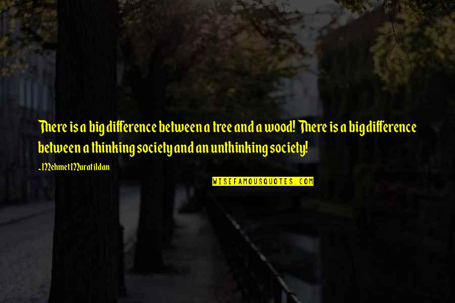 Mementoes To Pass Quotes By Mehmet Murat Ildan: There is a big difference between a tree Mementoes To Pass Quotes By Mehmet Murat Ildan: There is a big difference between a tree