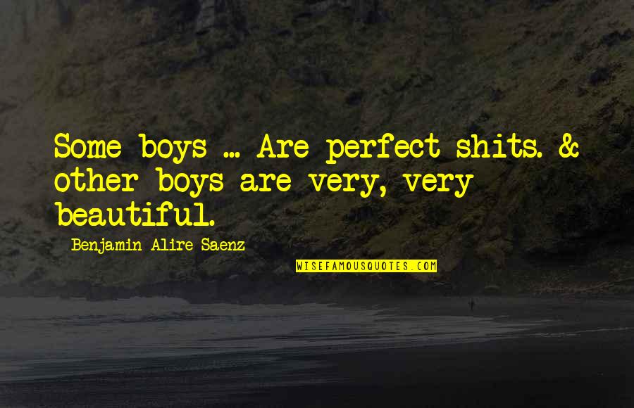 Memey Quotes By Benjamin Alire Saenz: Some boys ... Are perfect shits. & other