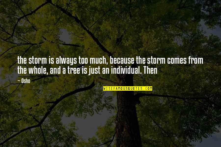 Memisahkan Quotes By Osho: the storm is always too much, because the Memisahkan Quotes By Osho: the storm is always too much, because the