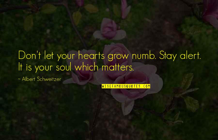 Memmel Port Quotes By Albert Schweitzer: Don't let your hearts grow numb. Stay alert.