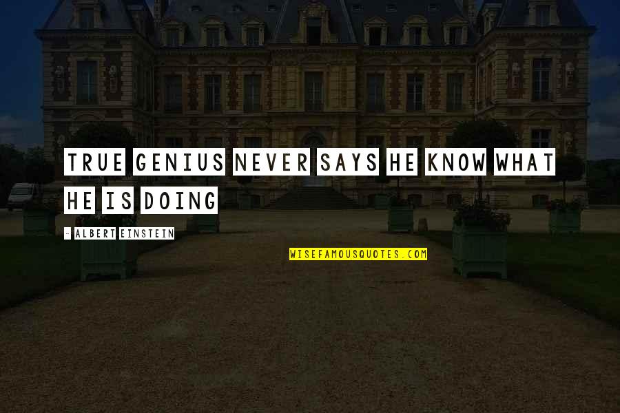 Memnon Kolosszusok Quotes By Albert Einstein: True genius never says he know what he Memnon Kolosszusok Quotes By Albert Einstein: True genius never says he know what he
