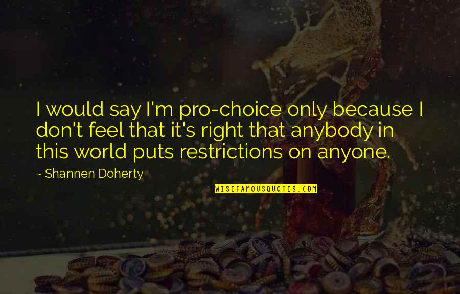 Memnonian Quotes By Shannen Doherty: I would say I'm pro-choice only because I