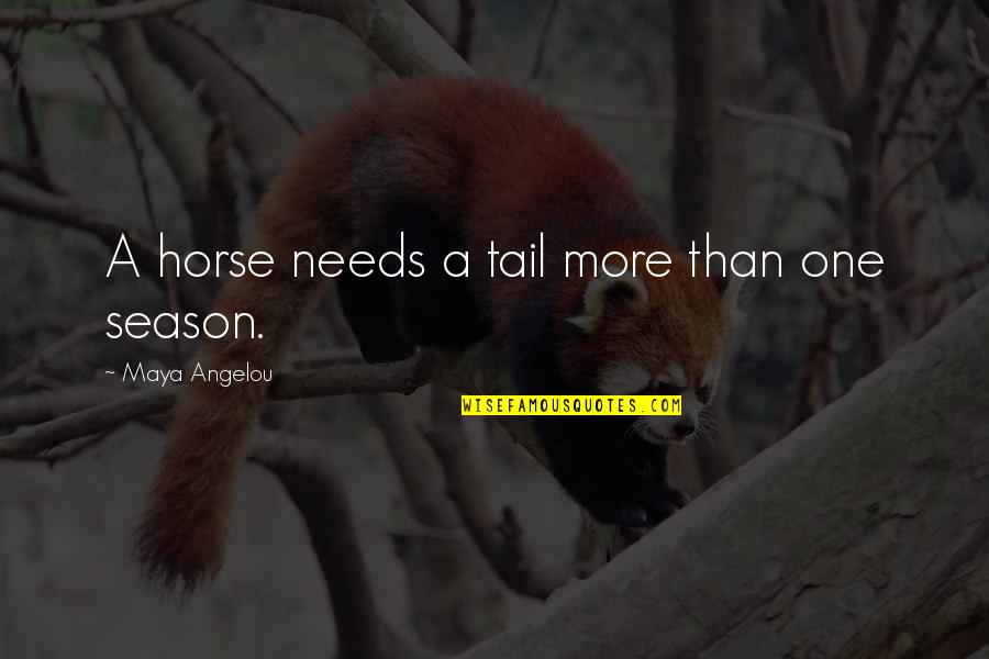 Memoremains Quotes By Maya Angelou: A horse needs a tail more than one