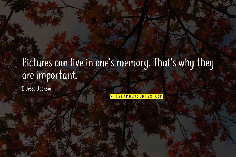 Memories Are Important Quotes By Jesse Jackson: Pictures can live in one's memory. That's why
