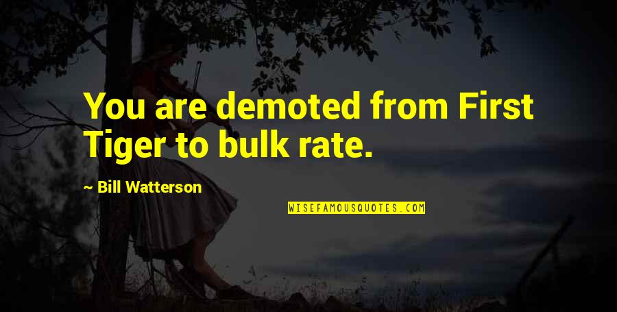 Memories Are Made Quote Quotes By Bill Watterson: You are demoted from First Tiger to bulk Memories Are Made Quote Quotes By Bill Watterson: You are demoted from First Tiger to bulk