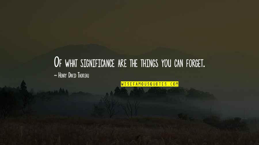 Memories Quotes By Henry David Thoreau: Of what significance are the things you can