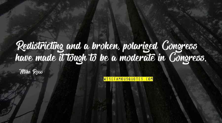 Memories That Last A Lifetime Quotes By Mike Ross: Redistricting and a broken, polarized Congress have made