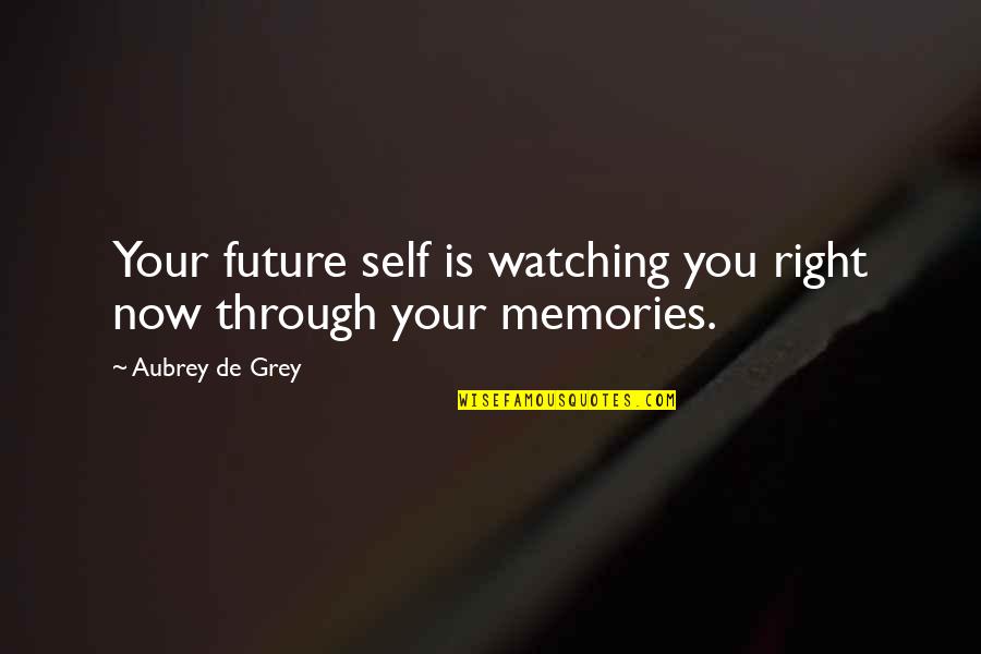 Memories Through Quotes By Aubrey De Grey: Your future self is watching you right now