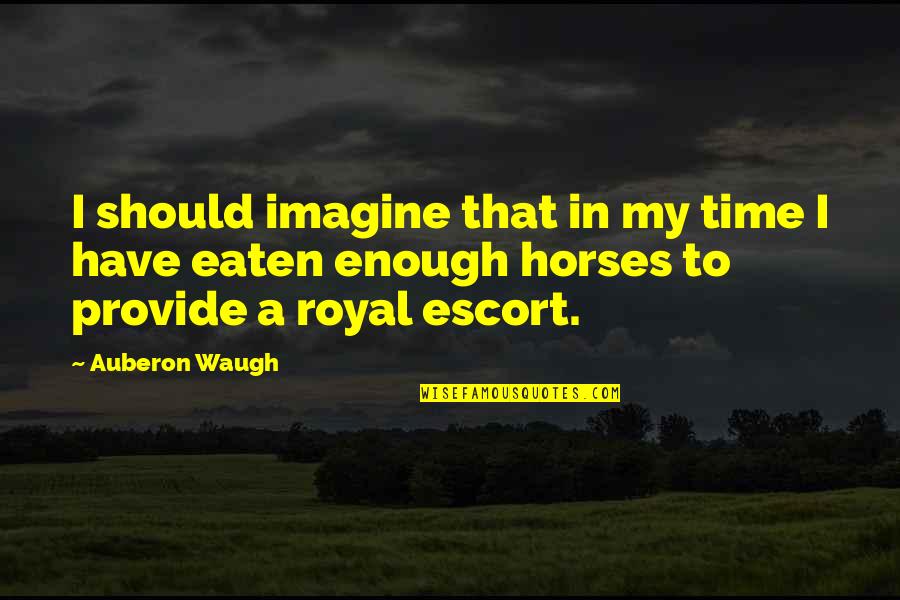 Memorised Quotes By Auberon Waugh: I should imagine that in my time I