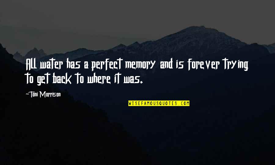 Memory And Water Quotes By Toni Morrison: All water has a perfect memory and is