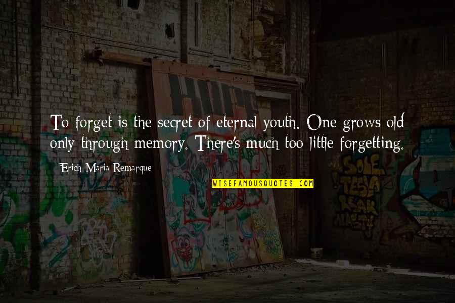 Memory Eternal Quotes By Erich Maria Remarque: To forget is the secret of eternal youth.