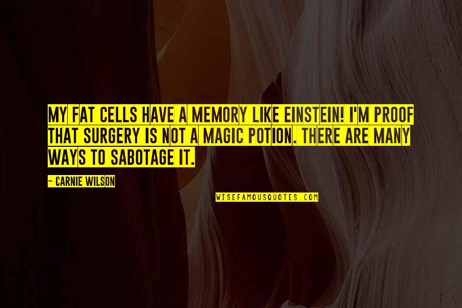 Memory Is Like Quotes By Carnie Wilson: My fat cells have a memory like Einstein!