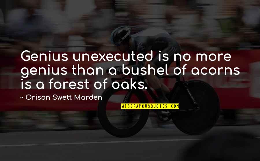 Memory Never Fades Quotes By Orison Swett Marden: Genius unexecuted is no more genius than a