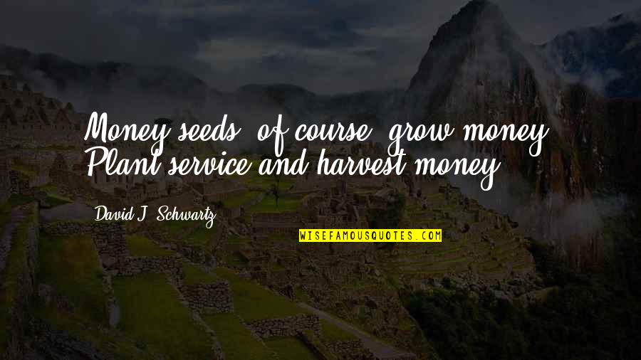 Memory Table Quotes By David J. Schwartz: Money seeds, of course, grow money. Plant service