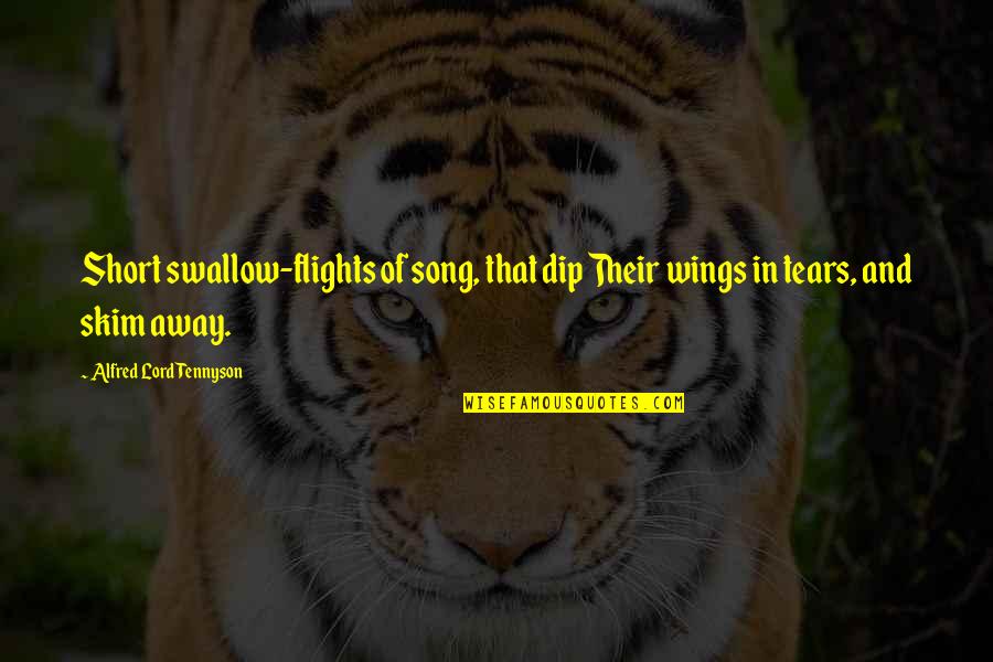 Memrise Spanish Quotes By Alfred Lord Tennyson: Short swallow-flights of song, that dip Their wings