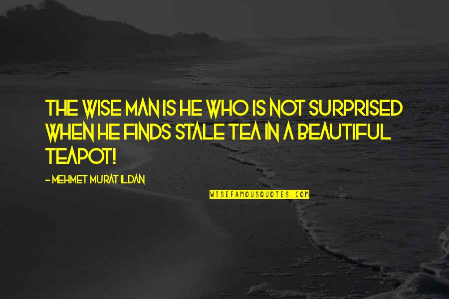 Memulihkan Hati Quotes By Mehmet Murat Ildan: The wise man is he who is not