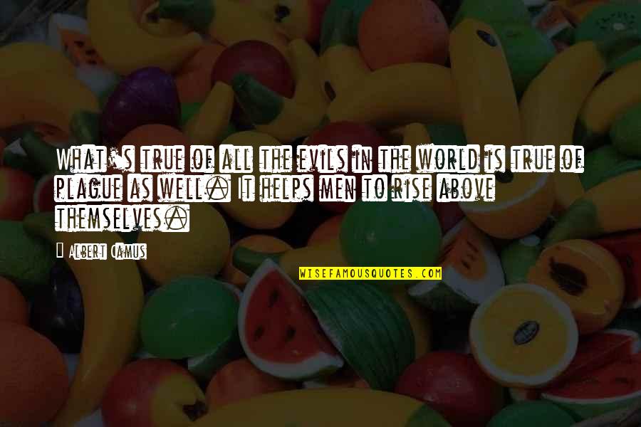 Men Above Men Quotes By Albert Camus: What's true of all the evils in the Men Above Men Quotes By Albert Camus: What's true of all the evils in the