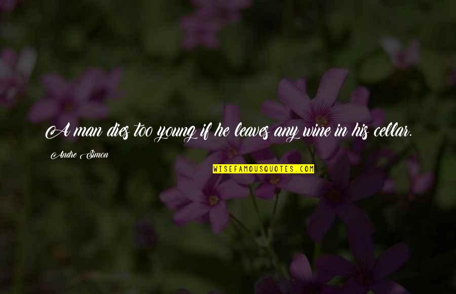 Men And Alcohol Quotes By Andre Simon: A man dies too young if he leaves