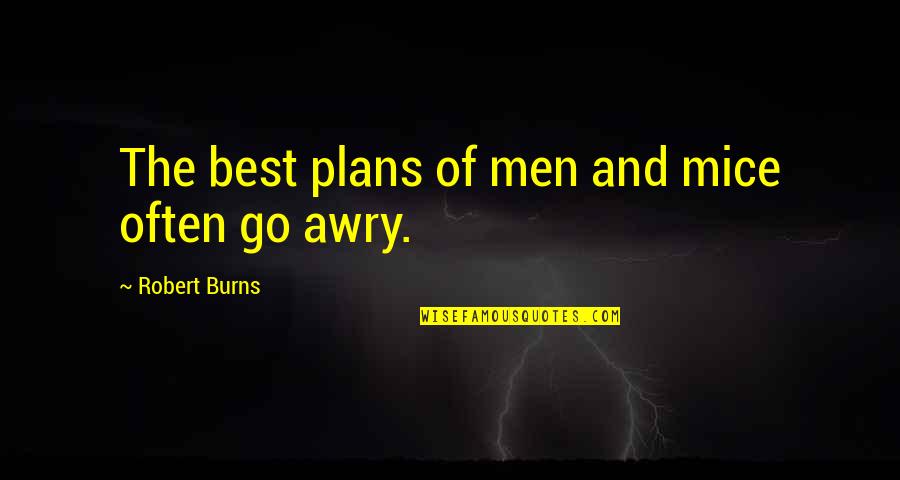 Men And Mice Quotes By Robert Burns: The best plans of men and mice often