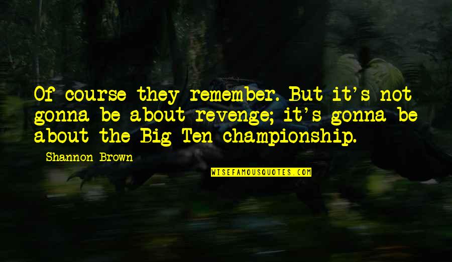 Men Encouragement Quotes By Shannon Brown: Of course they remember. But it's not gonna