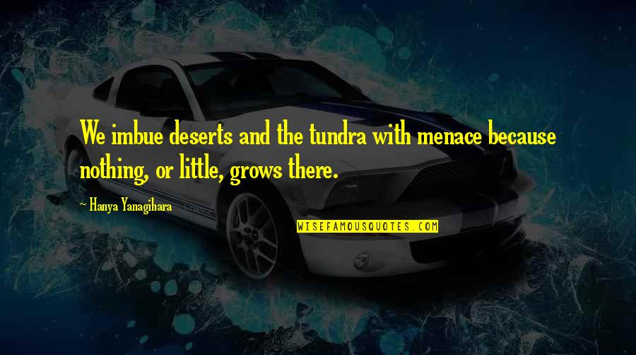 Menace Quotes By Hanya Yanagihara: We imbue deserts and the tundra with menace