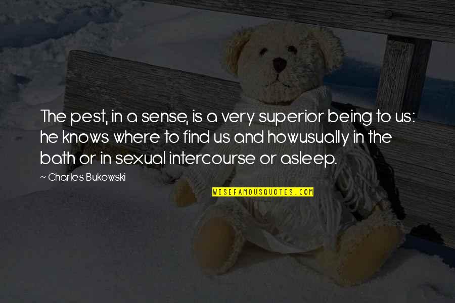 Menandai Tempat Quotes By Charles Bukowski: The pest, in a sense, is a very Menandai Tempat Quotes By Charles Bukowski: The pest, in a sense, is a very
