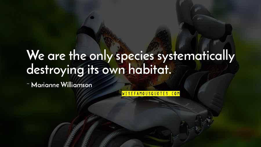 Menas Kafatos Quotes By Marianne Williamson: We are the only species systematically destroying its Menas Kafatos Quotes By Marianne Williamson: We are the only species systematically destroying its
