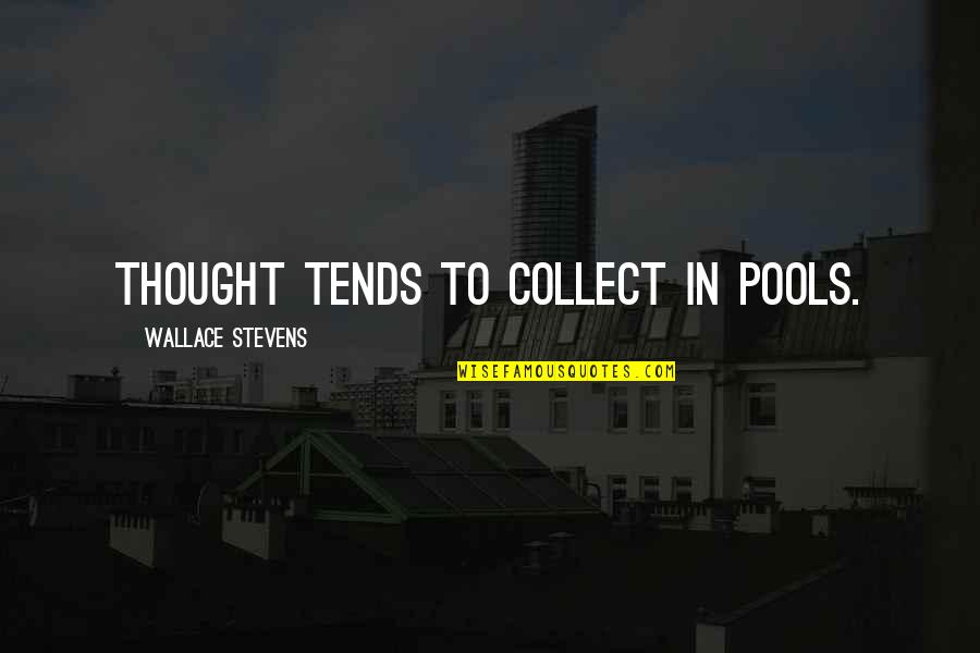 Menas Kafatos Quotes By Wallace Stevens: Thought tends to collect in pools. Menas Kafatos Quotes By Wallace Stevens: Thought tends to collect in pools.
