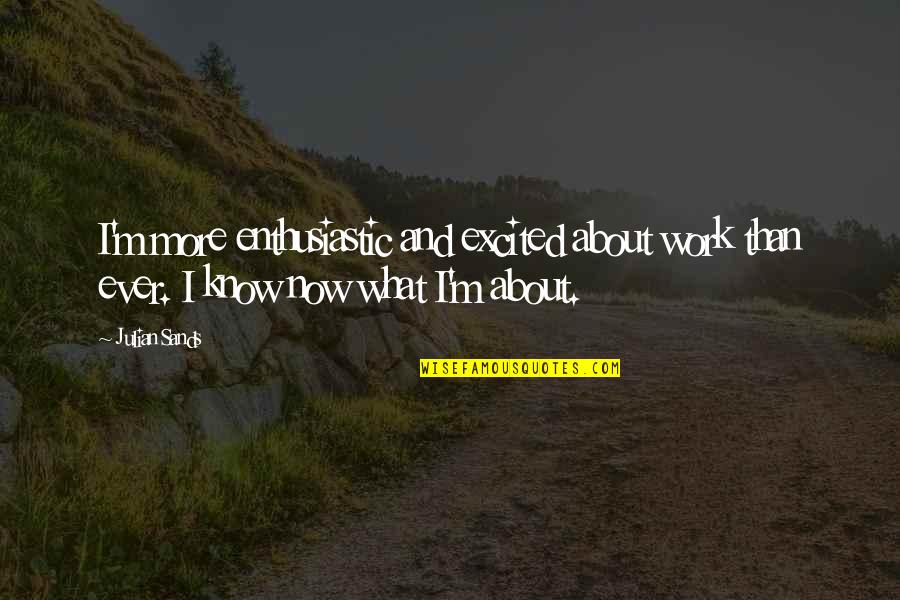 Mencerminkan Wajah Quotes By Julian Sands: I'm more enthusiastic and excited about work than