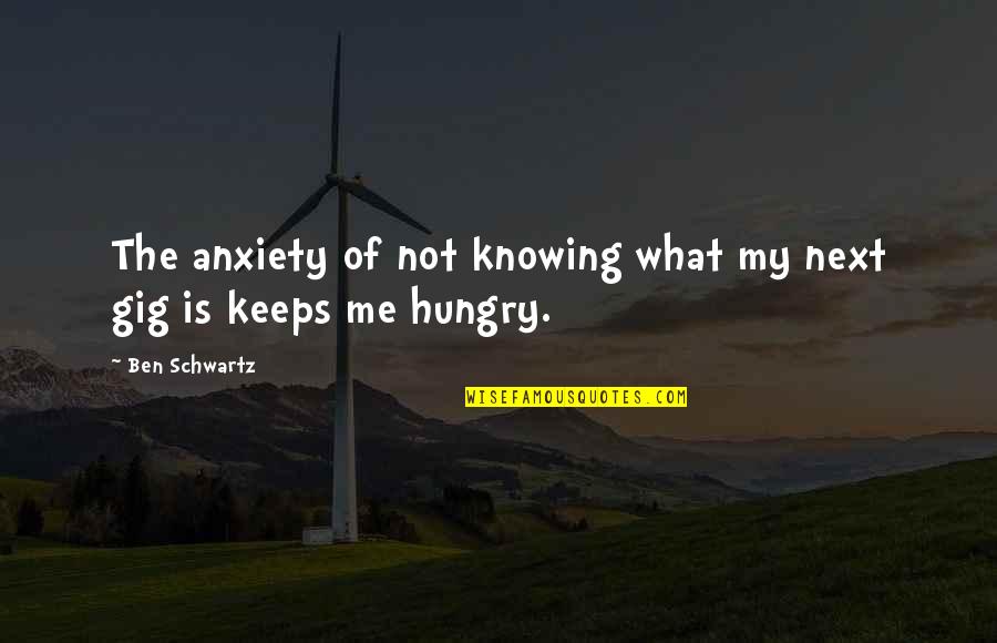 Mencuri Adalah Quotes By Ben Schwartz: The anxiety of not knowing what my next