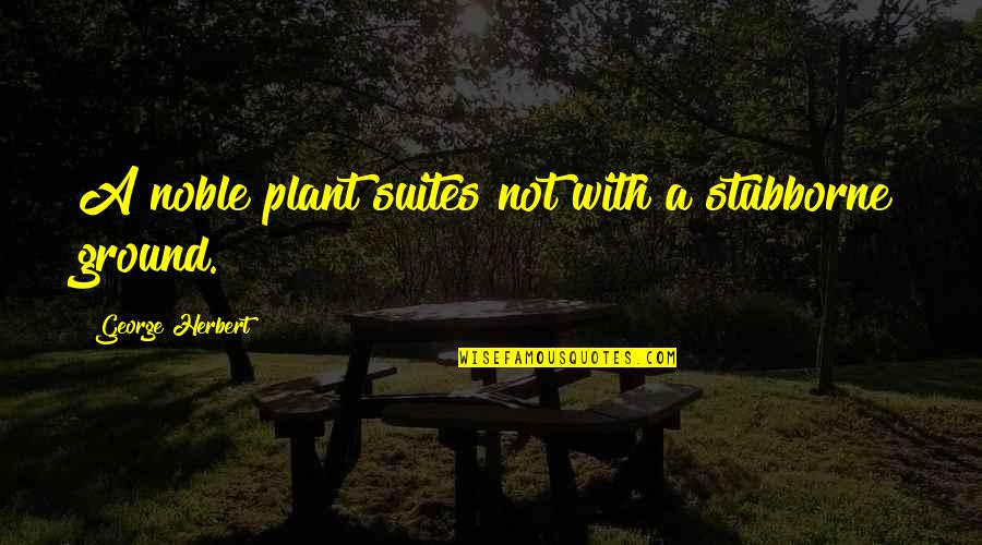 Mendahului Imam Quotes By George Herbert: A noble plant suites not with a stubborne Mendahului Imam Quotes By George Herbert: A noble plant suites not with a stubborne