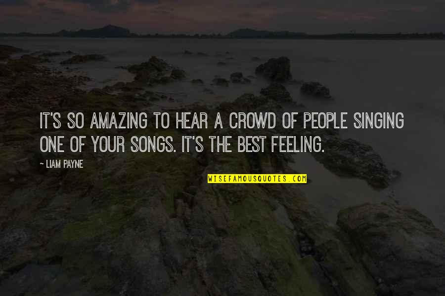 Mendekatkan Yang Quotes By Liam Payne: It's so amazing to hear a crowd of