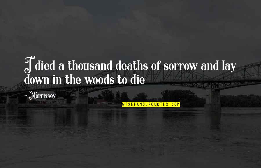 Mendeola 2d Quotes By Morrissey: I died a thousand deaths of sorrow and