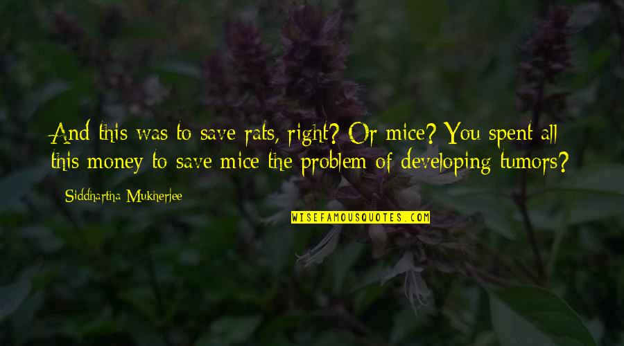 Mendesain Struktur Quotes By Siddhartha Mukherjee: And this was to save rats, right? Or