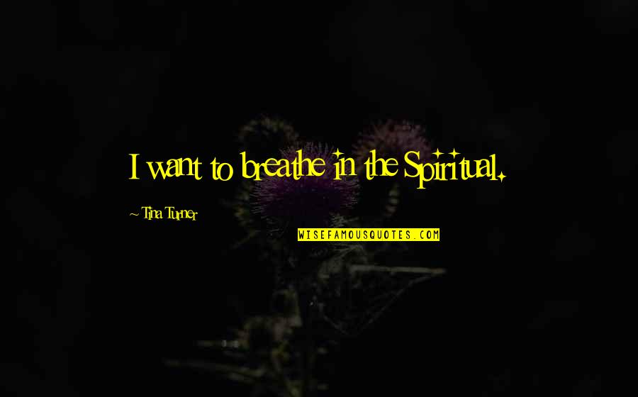 Mendigo Definicion Quotes By Tina Turner: I want to breathe in the Spiritual.