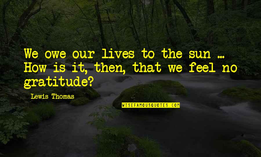Mendillo Dziedzic Quotes By Lewis Thomas: We owe our lives to the sun ...