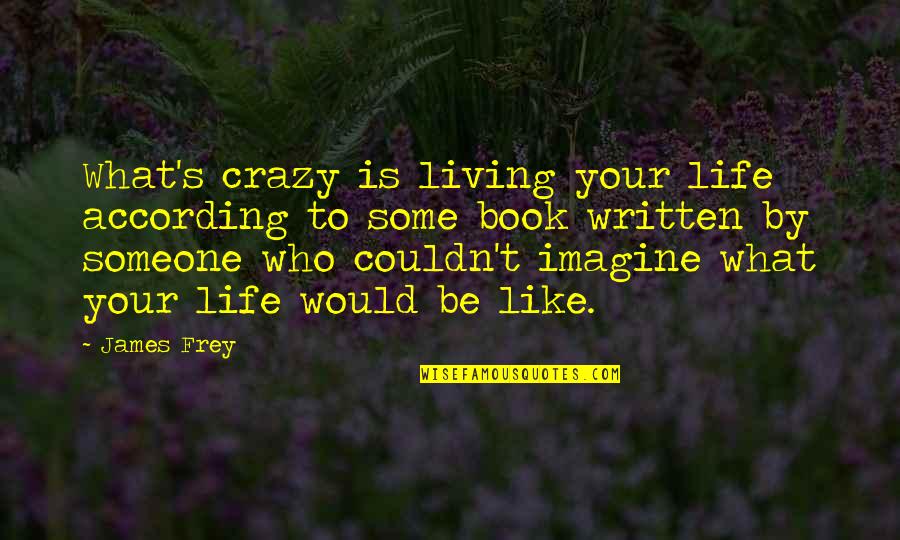 Mending Broken Pieces Quotes By James Frey: What's crazy is living your life according to