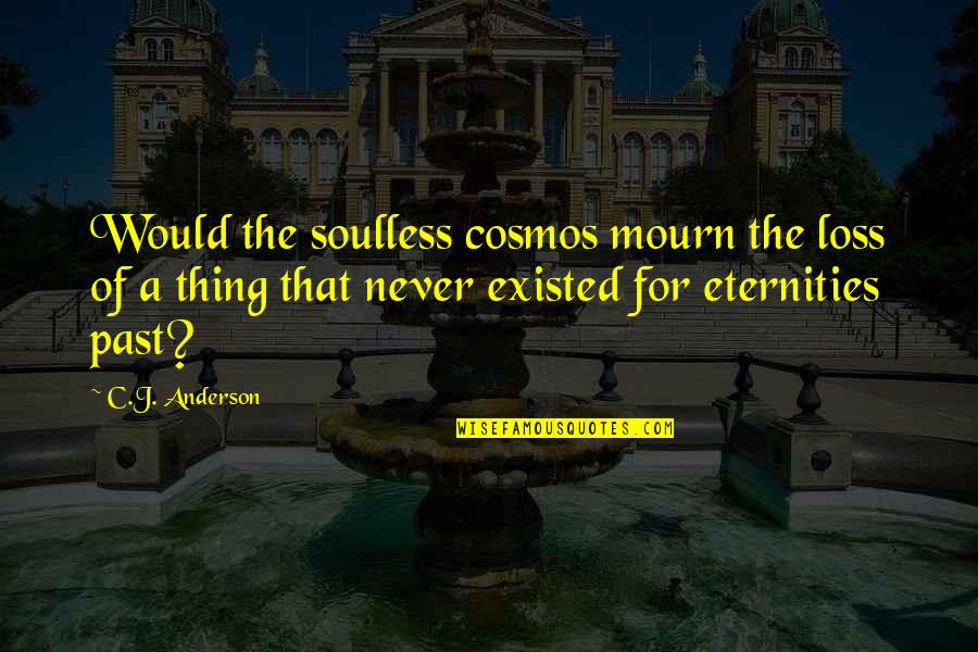 Mendizabal Inmobiliaria Quotes By C.J. Anderson: Would the soulless cosmos mourn the loss of
