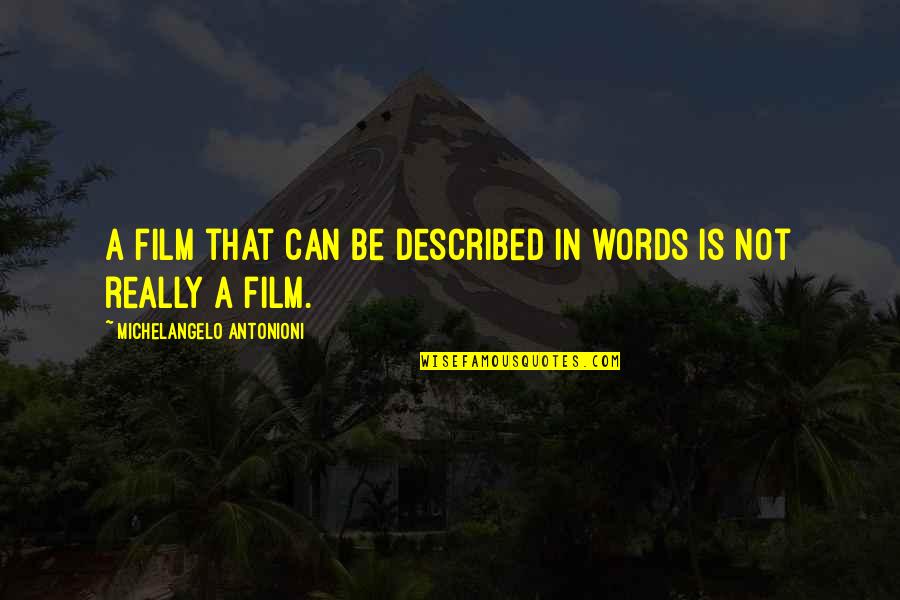 Mendrugos Quotes By Michelangelo Antonioni: A film that can be described in words