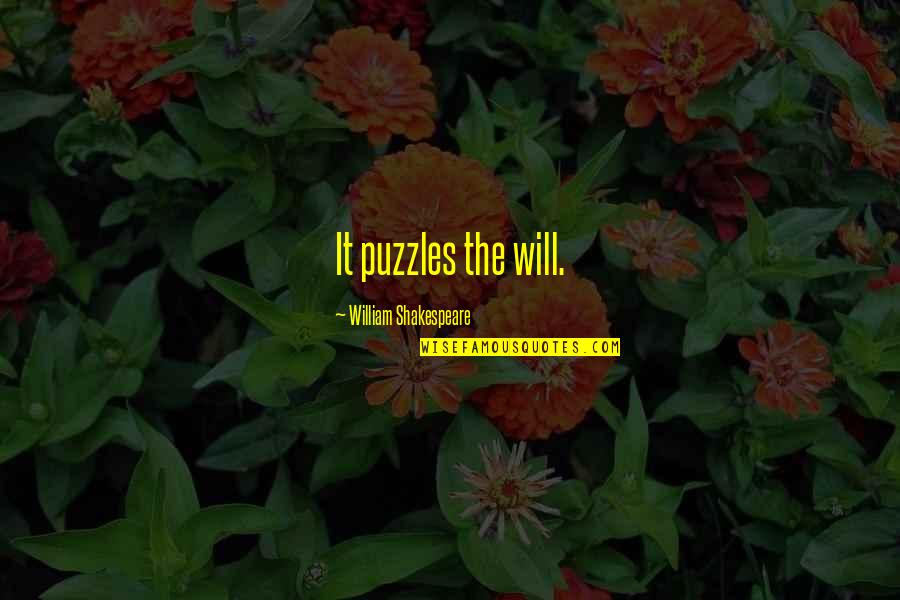 Menean Tucha Quotes By William Shakespeare: It puzzles the will.